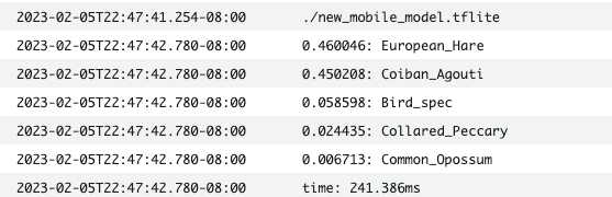 Cover image Wildlife Detector Python Lambda Functions